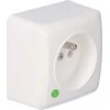 LIZDAS MONTUOJAMAS ANT PAVIRŠIAUS PAVIENIS BERG/3733-00/EPN 250 V 16 A Elektro-Plast