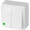 DVIGUBAS APŠVIESTAS JUNGIKLIS BERG/3711-00/EPN 250 V 10 A Elektro-Plast