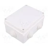 Elektro Plast Hermetiška dėžutė į/iš PK-6 158x118x80mm su gnybtu 4x16mm2 IP55 balta 0228-10