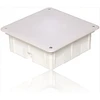 Elektro Plast Nasielsk PUSZ.P/T 185X185X70 MONTAVIMO DĖŽĖ