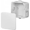 Elektro Plast Nasielsk 0242-10 FAST-BOX Hermetiška dėžutė be išpjovos 76x76x40mm tuščia IP55 balta 0242-10