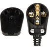 KAMPINIS KIŠTUKAS 3390-02/EPN 250 V 16 A Elektro-Plast