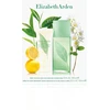 Elizabeth Arden Greem Tea EDP 100 Body Drops 100