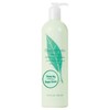 Kūno losjonas Elizabeth Arden Green Tea BLO 500ml 