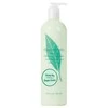 Kūno losjonas Elizabeth Arden Green Tea BLO 500ml 