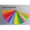 Emerson Xero popierius A4 80g.fluo TROPHEE 2973 500sheet