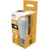 Emos LED lemputė 12W E27 A60 1055lm 3000K BASIC ZL4013