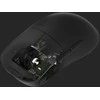 Pelė Endgame Gear OP1we Switch Pack – Kailh GO 60-65gf, set of 2