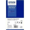 Epson Epson Surelab Pro-S Paper Glossy A4x65, 21 cm, 21 cm (8.25''), Gloss, 190 g/m², 252 µm, Germany