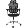 Equip ergonominė biuro kėdė + galvos atrama / porankiai + SFS juoda Lite mažmeninė prekyba