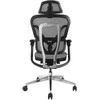 Equip Ergonomiška biuro kėdė su galvūgaliu ir porankiais, gr lite, mažmeninė prekyba