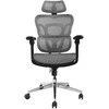 Equip Ergonomiška biuro kėdė su galvūgaliu ir porankiais, gr lite, mažmeninė prekyba