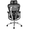 Equip Ergonomiška biuro kėdė su galvūgaliu ir porankiais, „SW Lite“, mažmeninė prekyba