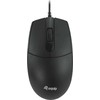 Pelė Equip Equip 245117 myszka Biuro Oburęczny USB Typu-A Optyczny 1200 DPI
