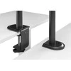 Equip 650159 monitoriaus laikiklis arba stovas 81,3 cm (32″) Stalas Juoda