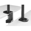 Equip Laikiklis biurkowy na monitorius 17" - 32" (650156)