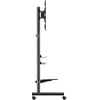 Laikiklis Equip Stojak podłogowy 50"-90" 1TFT 60kg Mobil+Ablage sw