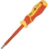 Ergom izoliuotas Phillips atsuktuvas WEN 2 / 100 (E06NR-03130201301)