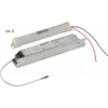 Es-System Avarinis modulis 2h 58W ES-AW-4-3-S2 (9558000)