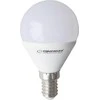 Esperanza Led Light lemputė G45 E14 6W ELL152