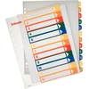Plastikiniai spalvoti skiriamieji lapai ESSELTE, 1-12, A4, MAXI