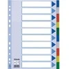 Esselte 20 plastikinių kortelių (10K217C)