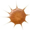 „Essence Cosmetics“ „Drop Of Sunshine Bronceador Fluid“ bronzantai, 25 ml