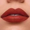 Estée Lauder Estee Lauder Pure Color Barra De Labios Persuasive Matte 1un