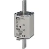 ETI Įdėkite NH1 GG 40A/500V