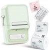 Niimbot B21S Portable Label Spausdintuvas (mint)