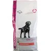 Eukanuba Adult Labrador sausas maistas Labradoro retriveriams 12kg