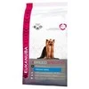 Eukanuba Yorkshire Terrier Adult (vištiena) 2kg