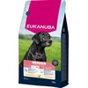 Sausas Maistas šunims Eukanuba Senior Large Breed vištiena, 113098, 15 kg