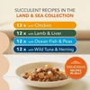 Eukanuba IAMS Senior Meat & žuvis Mix in Jelly box – šlapias pašaras katei – 48x85g