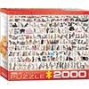 Eurographics Dėlionė 2000 vnt. - Kačių pasaulis