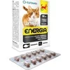 EUROWET Wita-Vet Kot Energia Junior + Adult 60tabs