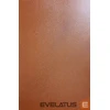 Evelatus Folia ochronna universali odinė plėvelė ekrano pjaustytuvui, ruda, odinė plėvelė, Brn