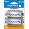 EverActive Sidabro linija D / R20 Baterija 5500mAh 2 vnt.