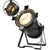 Carruzzo Spotlight EVOLIGHTS PAR 64 200W LED ZOOM AUTO V2