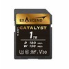 Atminties kortelė Korta ExAscend Catalyst UHS-I 1TB V30 (EX1TSDU1)