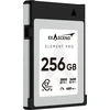 „ExAscend Element Pro CFexpress B 4.0“ 256 GB atminties kortelė