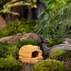 Exo Terra Big Rock, kryjówka su miską, do terrarium, keramikinė, S, 11x13x8 cm, 20 ml