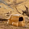 Exo Terra Big Rock slėptuvė su dubeniu terariumui, L, 25x28x16 cm, 200 ml