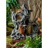 Exo Terra Tiki terariumo matmenys, ilgis, 31 x 19 x 36 cm