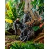 Exo Terra Tiki terariumo matmenys, ilgis, 31 x 19 x 36 cm