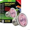 Exo Terra Šviesos lemputė Exo Terra LED šviesos baseinas, 5W