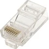 EXTRALINK RJ45 kištukas CAT5E UTP
