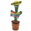 Extralink Toys | Žaislas kaktusas su Sombrero šokiais | Dainuojantis vaikiškas LED USB