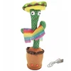 Extralink Toys | Žaislas kaktusas su Sombrero šokiais | Dainuojantis vaikiškas LED USB