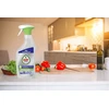 Riebalų valiklis ir dezinfekantas FAIRY Professional, 750ml